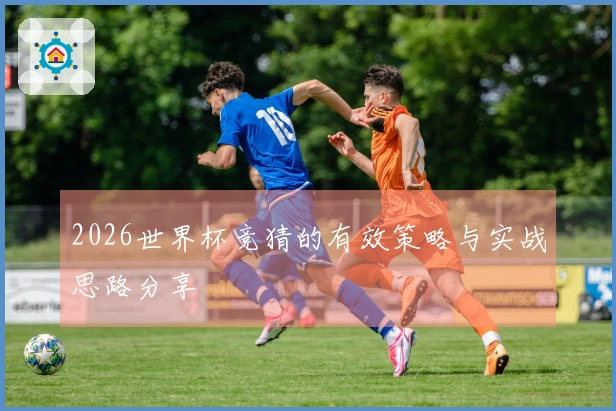 2026世界杯竞猜的有效策略与实战思路分享