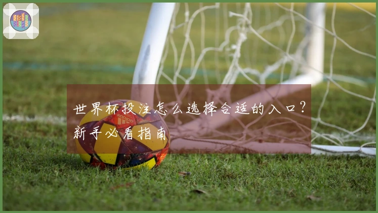 世界杯投注怎么选择合适的入口？新手必看指南