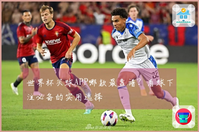 世界杯买球APP哪款最靠谱？看球下注必备的实用选择