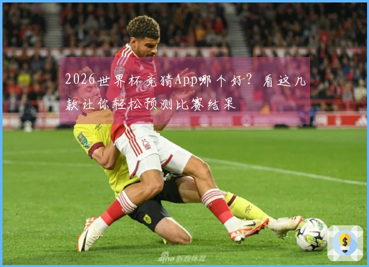 2026世界杯竞猜App哪个好？看这几款让你轻松预测比赛结果