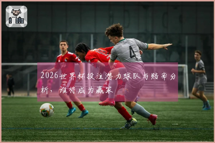2026世界杯投注潜力球队与赔率分析，谁将成为赢家