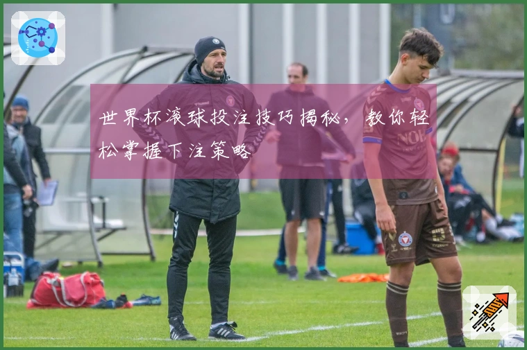 世界杯滚球投注技巧揭秘，教你轻松掌握下注策略