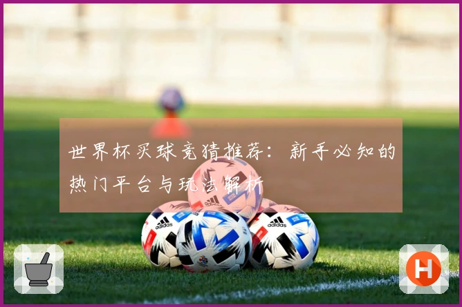世界杯买球竞猜推荐：新手必知的热门平台与玩法解析